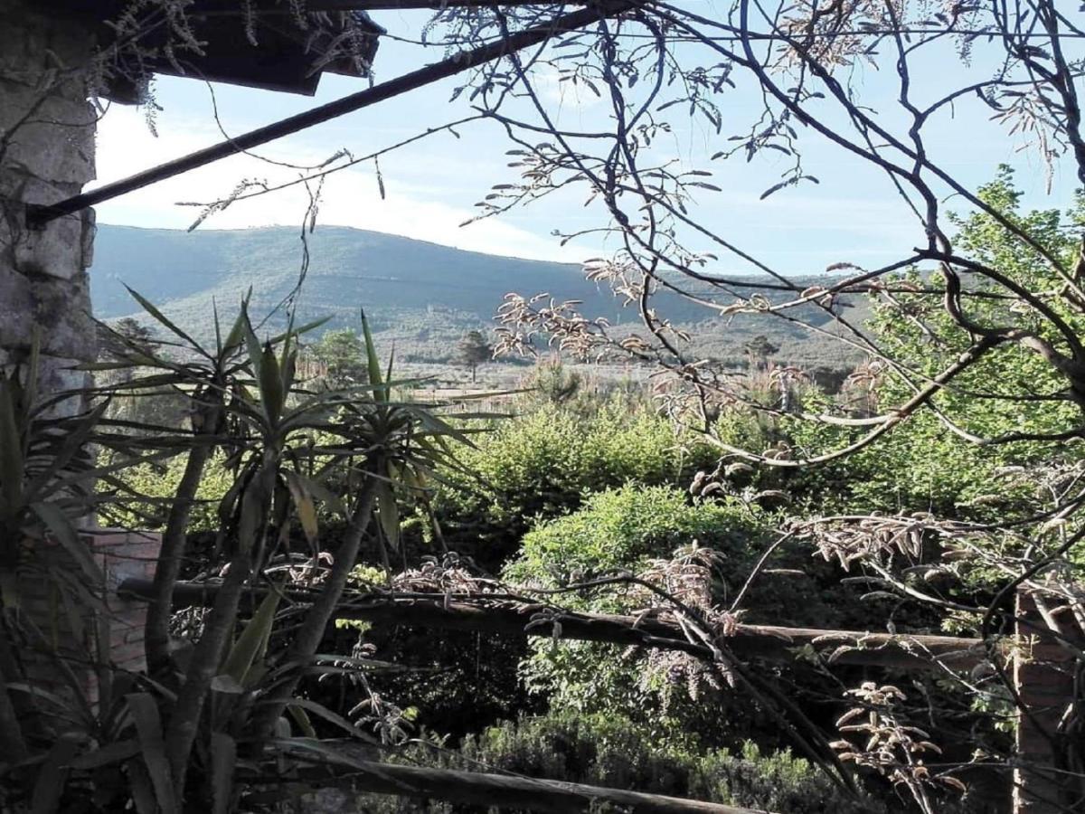 Naturaleza, Confort Y Vistas Inigualable En Casa Rural La Cumbre Gata Εξωτερικό φωτογραφία