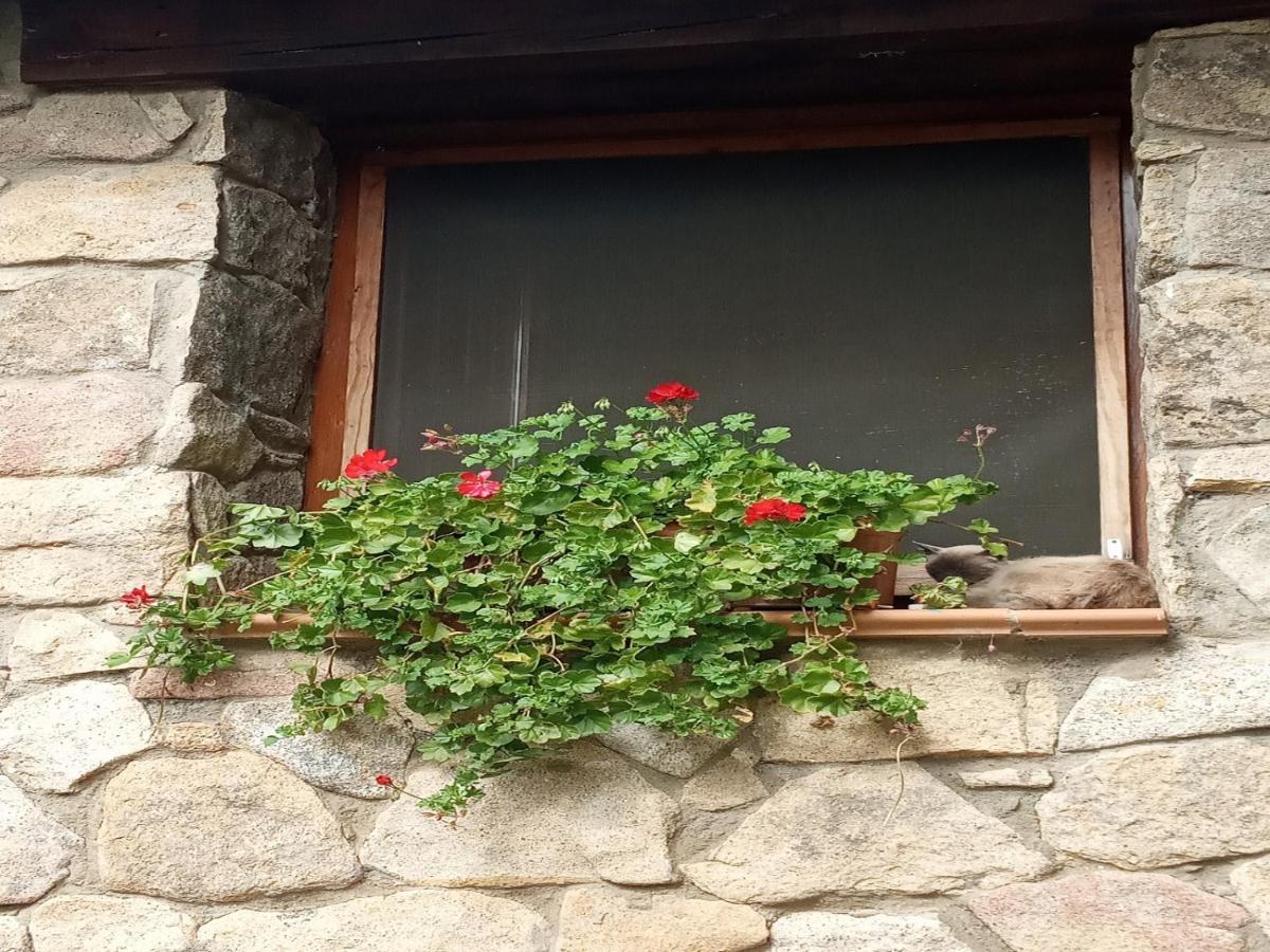 Naturaleza, Confort Y Vistas Inigualable En Casa Rural La Cumbre Gata Εξωτερικό φωτογραφία