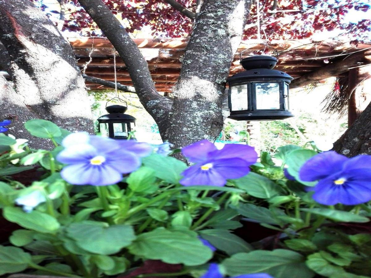 Naturaleza, Confort Y Vistas Inigualable En Casa Rural La Cumbre Gata Εξωτερικό φωτογραφία