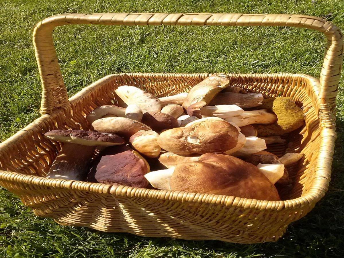 Naturaleza, Confort Y Vistas Inigualable En Casa Rural La Cumbre Gata Εξωτερικό φωτογραφία