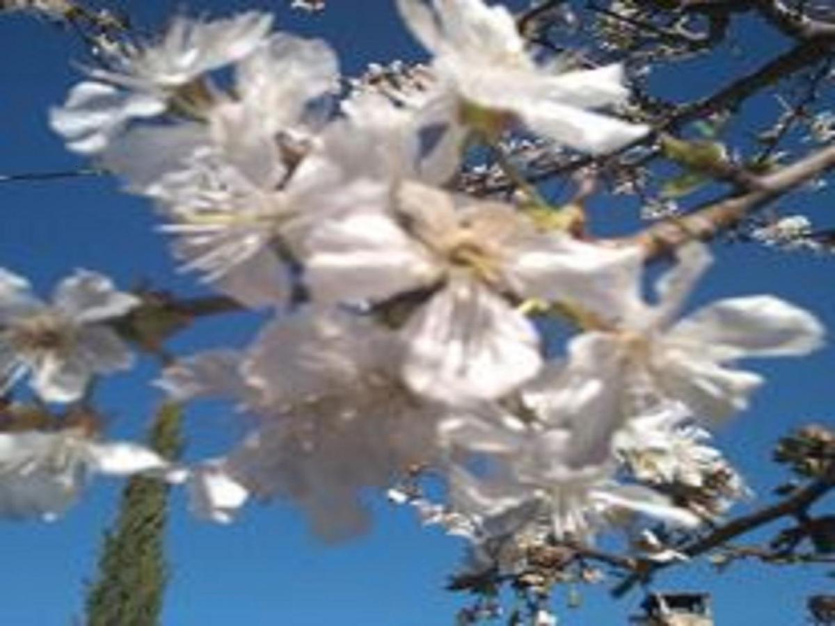 Naturaleza, Confort Y Vistas Inigualable En Casa Rural La Cumbre Gata Εξωτερικό φωτογραφία