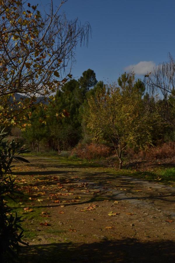 Naturaleza, Confort Y Vistas Inigualable En Casa Rural La Cumbre Gata Εξωτερικό φωτογραφία