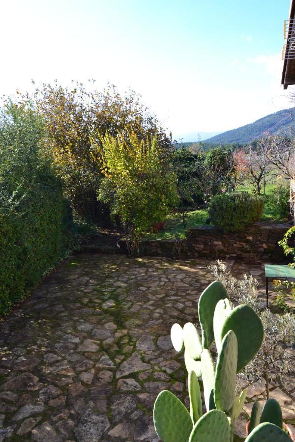 Naturaleza, Confort Y Vistas Inigualable En Casa Rural La Cumbre Gata Εξωτερικό φωτογραφία