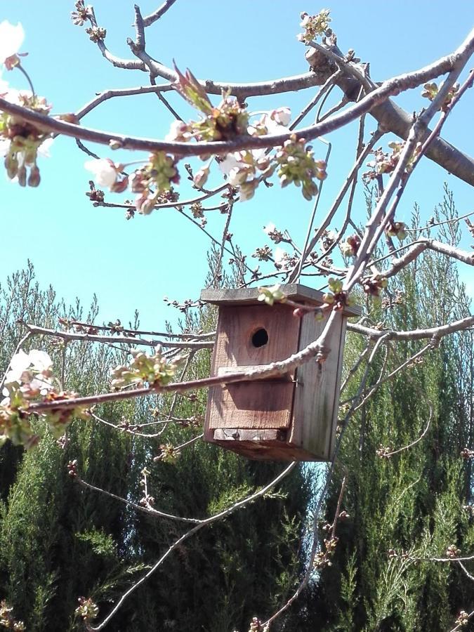 Naturaleza, Confort Y Vistas Inigualable En Casa Rural La Cumbre Gata Εξωτερικό φωτογραφία